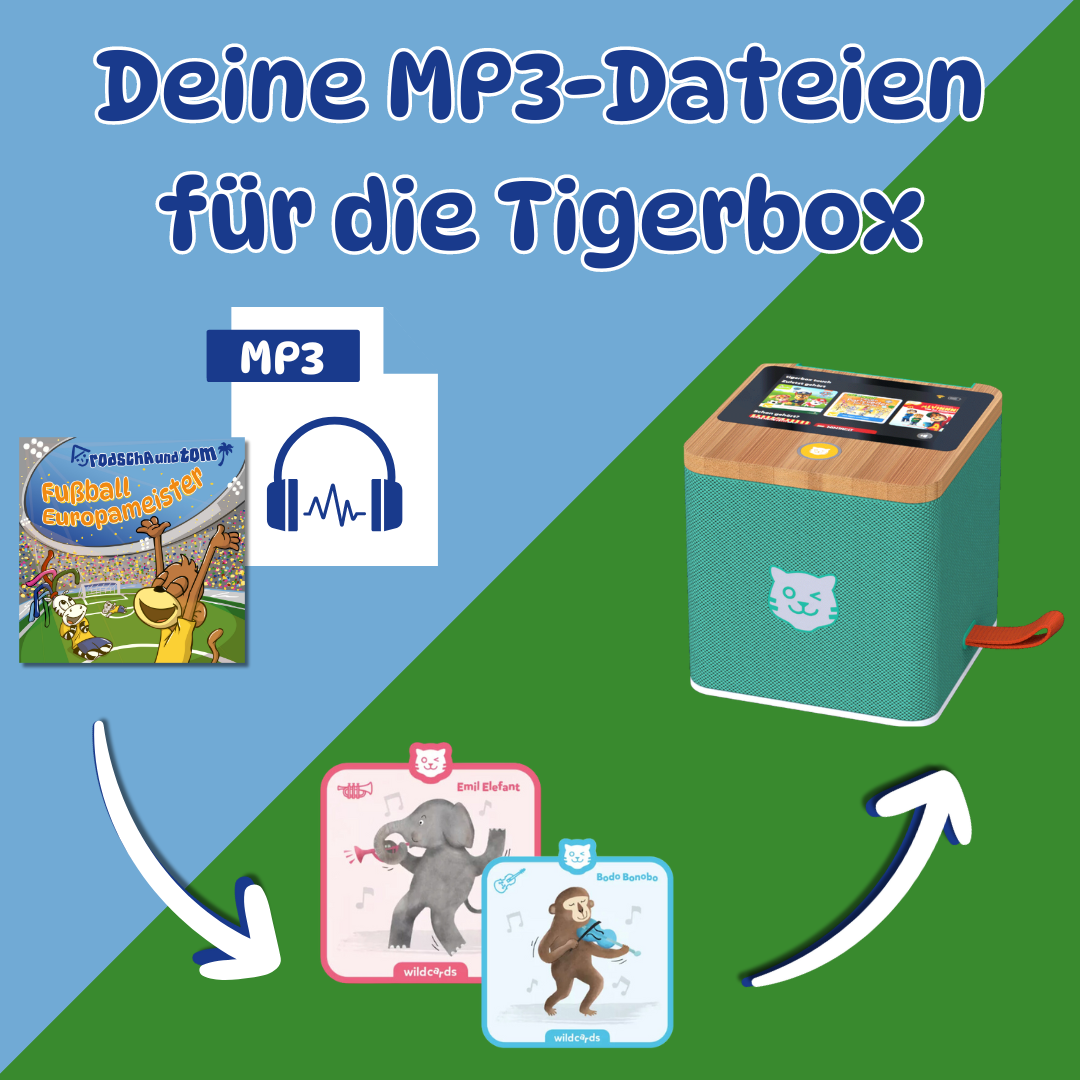 Fußball Europameister - Kinderlieder zur Fußball-EM als MP3 Download
